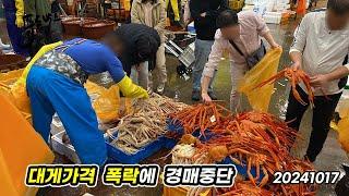 이 가격에는 못 판다!!!  얼마나 떨어졌길래 ...  이번주  가성비 좋은 수산물은? 10월  17일  노량진 수산시장