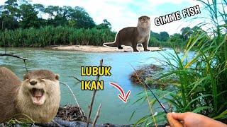 Berebut Lubuk Ikan Dengan MEMERANG