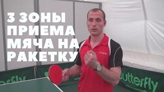 ►Настольный теннис. Три зоны приема мяча на ракетку в настольном теннисе