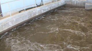 ‘Incredibly disappointing’: Ontario halts wastewater testing for COVID, other viruses