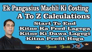 Ek Pangasius Fish Kitne Ki Padegi - Feeding Aur Medicine Cost Kitna Ayega - Aur Kitna Profit Hoga