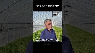 하우스 26동 참외농사 수익은?