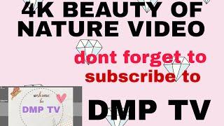 DMP TV, 4K BEAUTY OF NATURE VIDEO.    Free HD Videos.