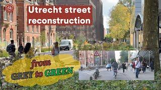 Utrecht (NL) changes streets from grey to green