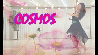 [쓸쓸한 가을 초급]  Cosmos line dance ㅣ Demo l 코스모스  라인댄스ㅣ왈츠라인댄스