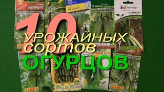 УРОЖАЙНЫЕ СОРТА ОГУРЦОВ! Будете собирать ВЕДРАМИ! Советы от ЗЕЛЕНОГО ОГОРОДА!