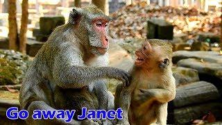 OMG ! Jane boring with Janet hurt Janna, Jane fight Janet cry very loud