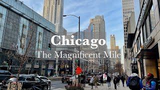 Chicago  The Magnificent Mile Walking Tour [4K | 60fps]