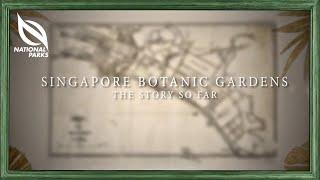 Singapore Botanic Gardens: The Story So Far