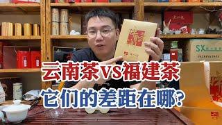 同样是产茶大区，云南茶VS福建茶，它们的差距在哪？