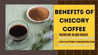 Benefits of Chicory Coffee | COFFEE BUZZ CLUB |