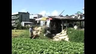 SENDONG - Biag di Desperado (IGOROT SONG) (MV)