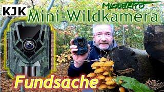  Review zur neuen Mini-Wildkamera KJK JDL201  Unboxing Review  Wild und Pilze sammeln 2023 