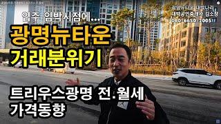 광명뉴타운 거래분위기 트리우스 전.월세