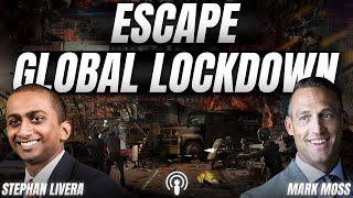 Global Lockdown, ﻿Supply Chain Constraints, End Game | ﻿Stephan Livera