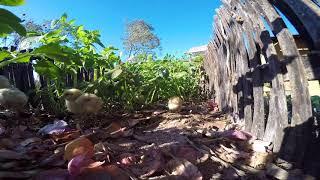 Almost Heaven Permaculture Farms Nepal