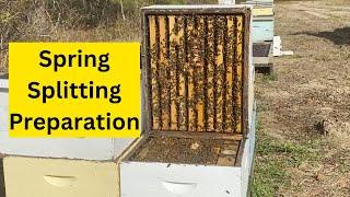 Beekeeping Down South