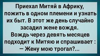 Как Митяй в Африке с Женой Вождя Отдыхал! Сборник Свежих Анекдотов! Юмор!