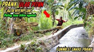 Prank Ular Piton Raksasa || Super Lucu Auto Nyemplung #funnyvideo #prankularpiton #prank