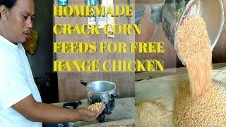 HOMEMADE CRACKED CORN [FEEDS FOR FREE RANGE CHICKEN]