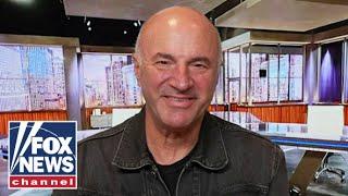 Kevin O’Leary: This issue will hurt at the polls