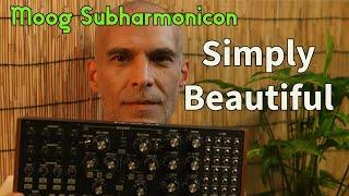 Moog Subharmonicon 30 minutes in and already a beautiful song