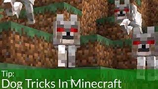 Dog Tricks In Minecraft