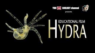 HYDRA Scientific film