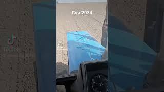 Соя2024 #весна2024