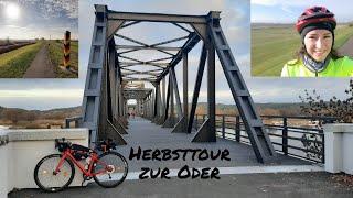 Eine Herbsttour von Berlin zur neuen Europabrücke an der Oder