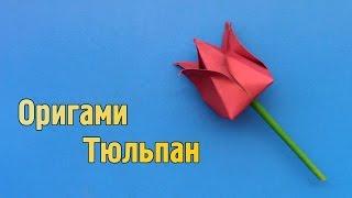 How to make a paper Tulip without glue | Origami Tulip Flower