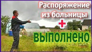 ТЕПЛИЦА в июле СОБРАТЬ И ВЗВЕСИТЬ !  // холостяцкий ужин //