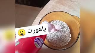 وصفة الشوفان للتسمين  flacon d'avoine
