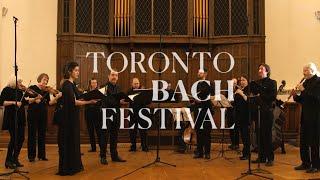 Discover Bach - Episode Five | Toronto Bach Festival