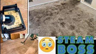 Removing A PUNGENT Urine odor smell from carpet! Unbelieve results! #carpetcleaning #tampa