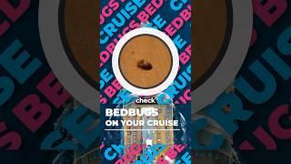 Are there Bed Bugs on Cruise Ships?