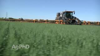 High Yield Wheat Tips #984 (Air Date 2-12-17)