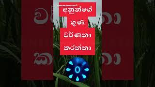 අනුන්ගේ ගුණ වර්ණනා කරන්නා? | තනි පද | සිංහල භාෂාව | general knowledge sinhala #shorts #gk #sinhala