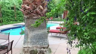 Casa de Monte Vista Vacation Rental Property in Palm Springs, CA