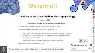 Introduction to the second virtual layer-fMRI event: Luca Vizioli and Renzo Huber