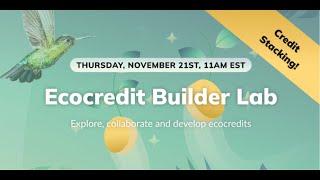 Ecocredit Builder Lab – 21 November 2024