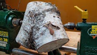 woodturning - birch crotch