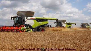 Claas - Fendt - MAN / Getreideernte - Grain Harvest  2024  pt1