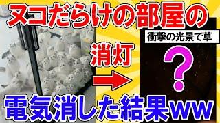 【2ch動物スレ】大量のネッコがいる部屋の電気消す→衝撃の光景広がるｗｗｗｗｗｗｗｗ