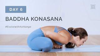 Ashtanga Yoga Full Primary Series with Kino — Day 6 - Evolve Your Practice Challenge