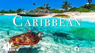 Karibik 4K - entspannende Musik zusammen mit schönen Naturvideos - 4K Video Ultra HD