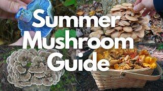 13 Edible and Medicinal Mushrooms to Forage this Summer!