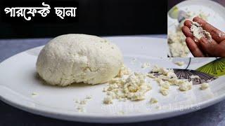 Chana(ছানা) || পারফেক্ট নরম ছানা তৈরির টিপস || how to make chana at home|| cottage cheese