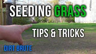 Seeding Your Lawn Tips & Tricks! | Lawn Grading Follow-Up