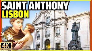 Saint Anthony's Life Story: From Lisbon to Padua
